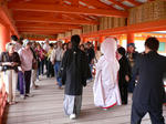 P1000736.JPG