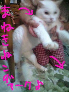 48b038ca.jpg