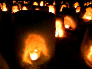 kamakura1.JPG