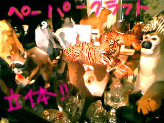 100227_1955~0001.jpg