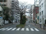 110106真金町
