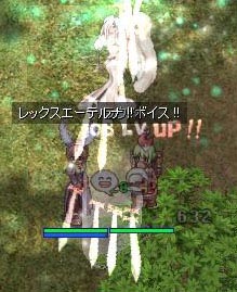 ニャーニャーオンライン