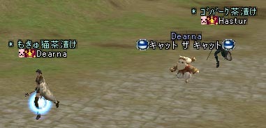 2人と1匹でテクテク