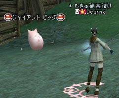 コインだせー