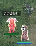 月登録～