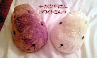 カピバラさんとホワイトさん