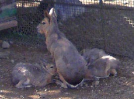 名前で色々損してるような気がする