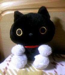 靴下にゃんこ