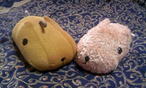 お風呂用カピバラさんと子カピバラ（兄）