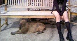 お隣座っても良いですか？