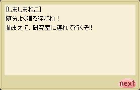 お前も猫じゃんか、的な