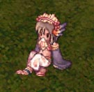 姫装備ゲット！