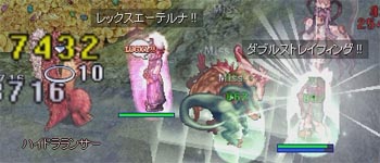 貴重な弓ジプシーSS