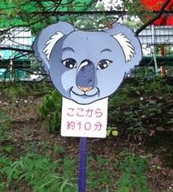 いい笑顔だ…