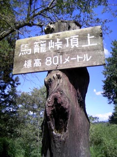801！801！