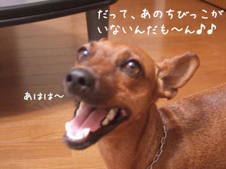 3803267f.jpg