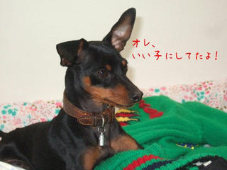 2dd058d6.jpg