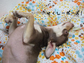 46a9014f.jpg