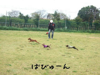 2b8cbcf5.jpg