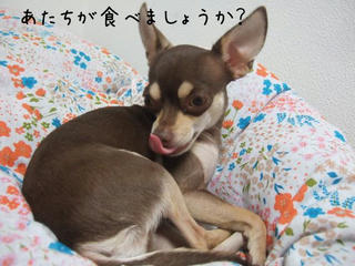 825a8854.jpg