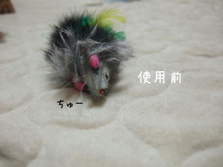 a9c07bc5.jpg