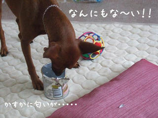 80f72b32.jpg