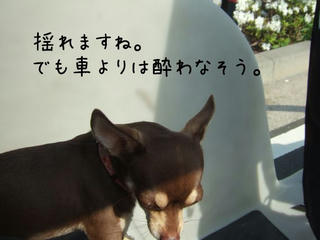 4b1bb3f9.jpg