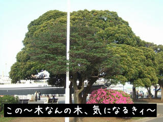 bf0e0917.jpg