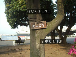 8a3d6e57.jpg