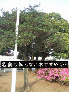 8d3e5664.jpg