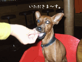 kiri01.gif