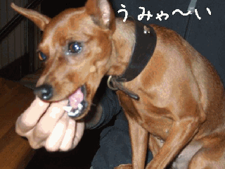 clo04.gif