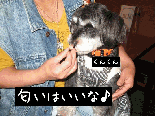 ans05.gif