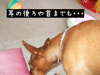 fd0cd8e4.jpg