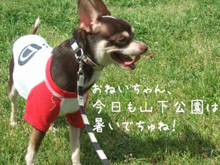 76375d8f.jpg