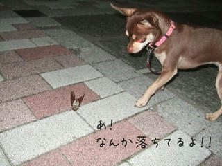 f05a14d7.jpg