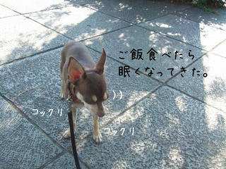 6d54f474.jpg