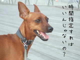e67844b3.jpg