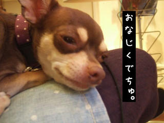 dd003100.jpg