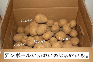 ade10508.jpg