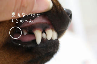 cb8a2478.jpg