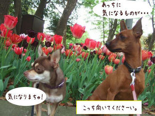05ca31f6.jpg