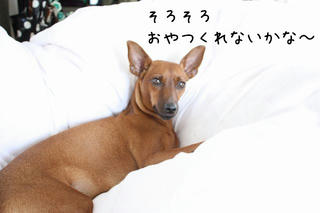 63890a4e.jpg