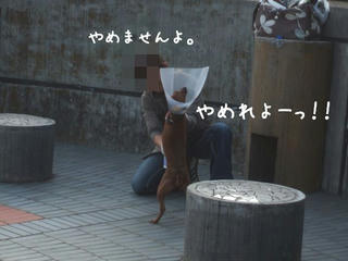 5a49f586.jpg