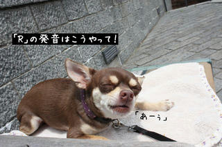 025671f6.jpg