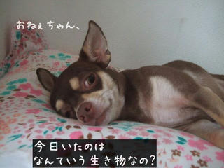 c8a76644.jpg