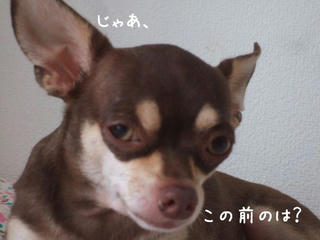 b466d3b9.jpg