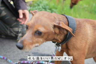 73dcdb61.jpg