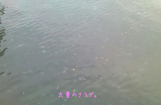 ki0003.jpg