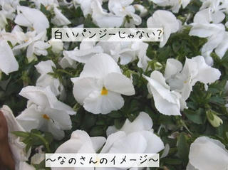 53e4a7e6.jpg
